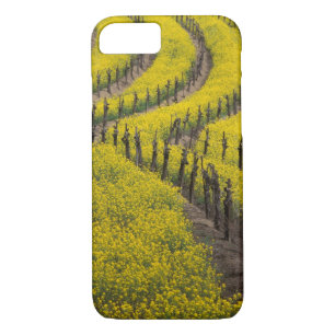 title_seo2 EE.UU., California, Napa Valley, Los Carneros Ava.