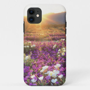 title_seo2 EE. UU., California, Parque Estatal Desierto Anza-