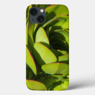Funda Para iPhone 13 EE.UU., California. Planta Lobelia Gigante cerca