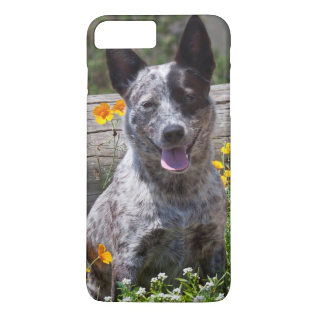 Funda De Case-Mate Para iPhone EE. UU., California. Queensland Healer Sitting 2 (Reverso)