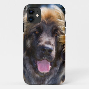 Funda Para iPhone 11 EE.UU., California. Retrato De Leonberger Sitting
