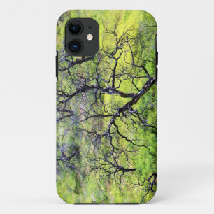 title_seo2 EE.UU., California, San Diego. Bosque de roble que