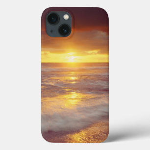 title_seo2 EE. UU., California, San Diego. Playa Sunset Cliff