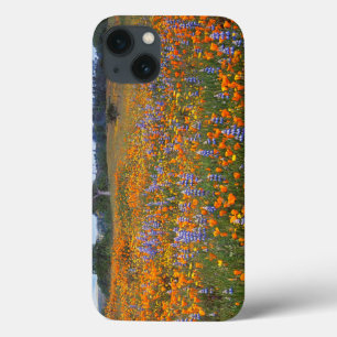 Funda Para iPhone 13 EE. UU., California, Santa Margarita, Avenales