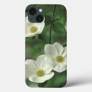Funda Para iPhone 13 EE. UU., California, Yosemite NP, a lo largo del M
