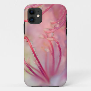 Funda Para iPhone 11 EE. UU., Carolina del Norte. Rododendro de Catawba