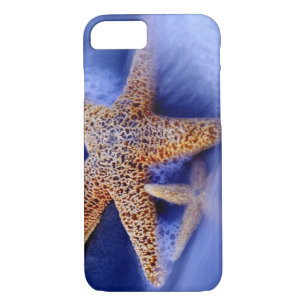 title_seo2 EE.UU., Carolina del Sur, Hilton Head Island.Dos