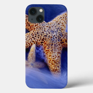 Funda Para iPhone 13 EE.UU., Carolina del Sur, Hilton Head Island.Dos