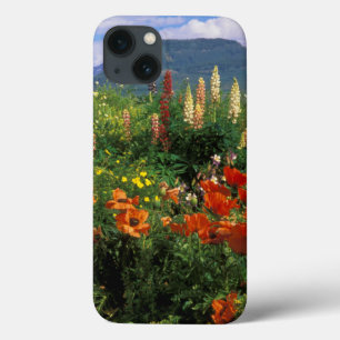 title_seo2 EE. UU., Colorado, Crested Butte. Amapolas y lupin