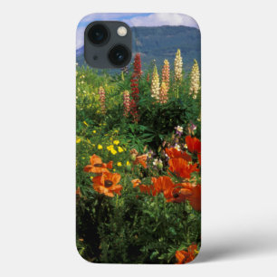 title_seo2 EE. UU., Colorado, Crested Butte. Amapolas y lupin