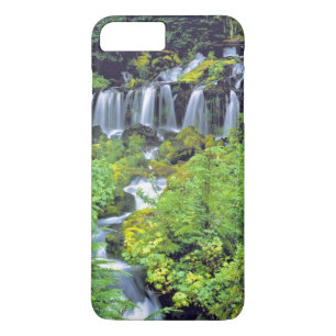 title_seo2 EE. UU., Estado de Washington, Mt Adams Wilderness
