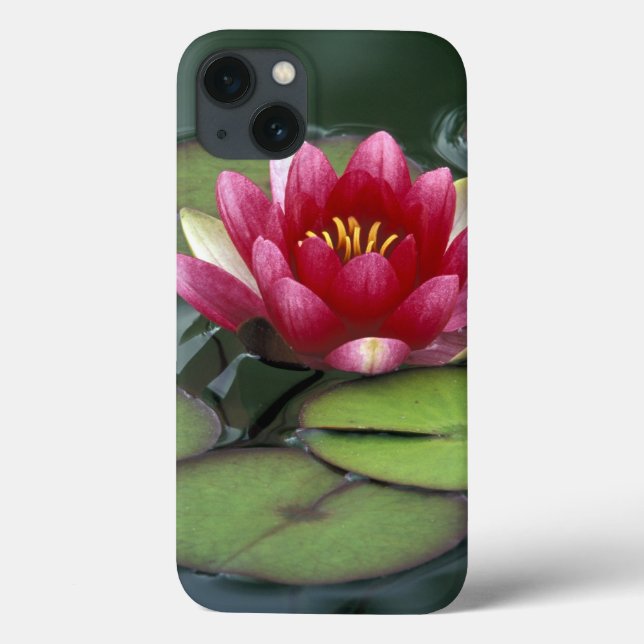 Funda De Case-Mate Para iPhone EE. UU., Estado de Washington, Seattle. Nenúfar y (Reverso)