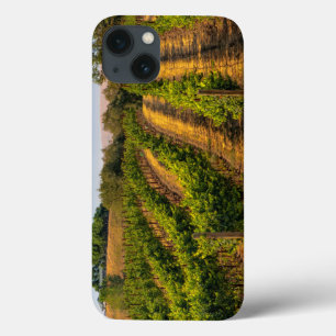 Funda Para iPhone 13 EE.UU., Este de Washington, Viñedos de Walla Walla