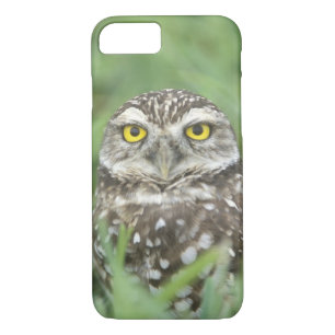 Funda Para iPhone 8/7 EE.UU., Florida, Cabo Coral, Lechuza Ardiente (Ath