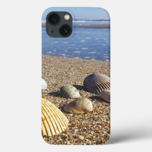 Funda Para iPhone 13 EE. UU., Florida, conchas marinas costeras
