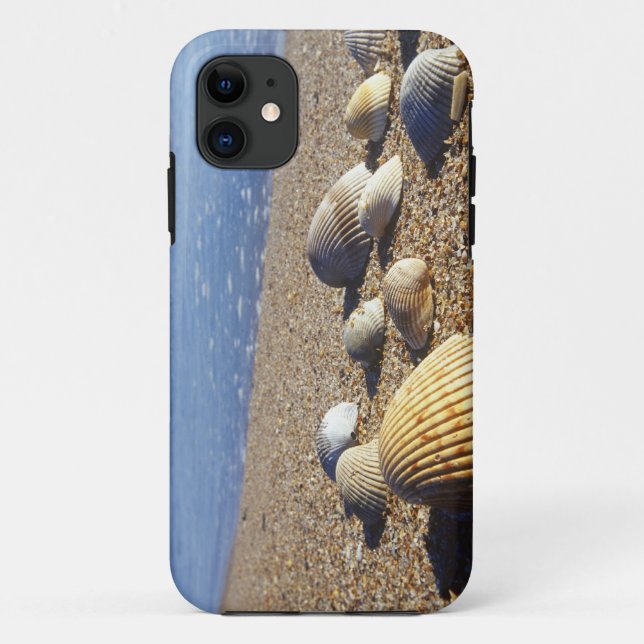 Funda De Case-Mate Para iPhone EE. UU., Florida, conchas marinas costeras (Reverso)
