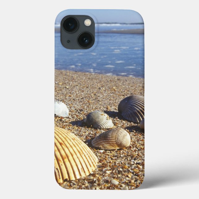 Funda De Case-Mate Para iPhone EE. UU., Florida, conchas marinas costeras (Reverso)