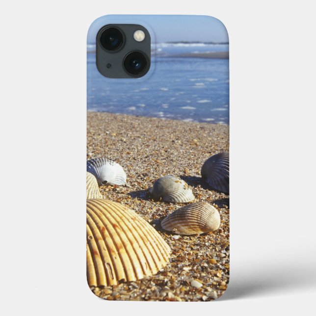 Funda De Case-Mate Para iPhone EE. UU., Florida, conchas marinas costeras (Reverso)