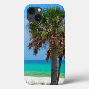 Funda Para iPhone 13 EE. UU., Florida. Palmeras en la Costa Esmeralda