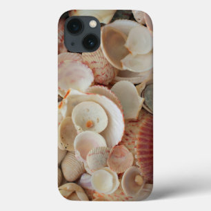 Funda Para iPhone 13 EE. UU., Florida. Primer plano de conchas en Santa