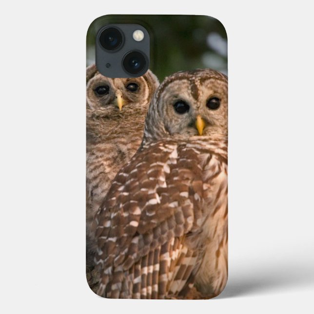 Funda De Case-Mate Para iPhone EE. UU., Florida, Viera Wetlands. Tres barred (Reverso)