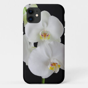 Funda Para iPhone 11 EE. UU., Georgia, Savannah, grupo de orquídeas
