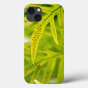Funda Para iPhone 13 EE. UU., Hawái, Isla Grande. Helecho verde tropica