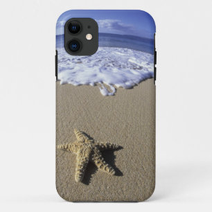 title_seo2 EE. UU., Hawái, Maui, Makena Beach, Estrella de ma