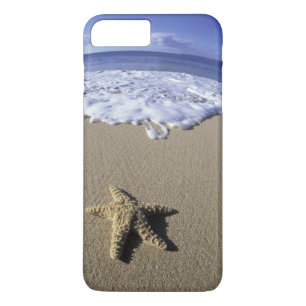 title_seo2 EE. UU., Hawái, Maui, Makena Beach, Estrella de ma