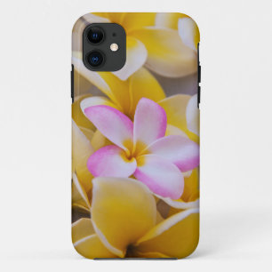 Funda Para iPhone 11 EE. UU., Hawái, Oahu, Flores de plumeria en flor 1