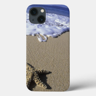 Funda Para iPhone 13 EE.UU., Hawaii, Maui, Makena Beach, Starfish y
