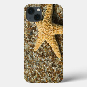 title_seo2 EE. UU., HI, Kauai, Glass Beach con estrella de ma