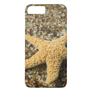 Funda Para iPhone 8 Plus/7 Plus EE.UU., HI, Kauai, Glass Beach con peces estrella