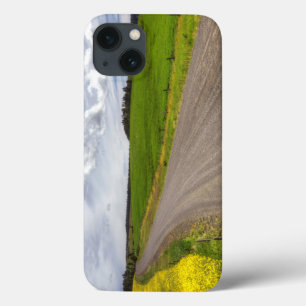 title_seo2 EE.UU., Idaho, condado de Idaho, Canola Field