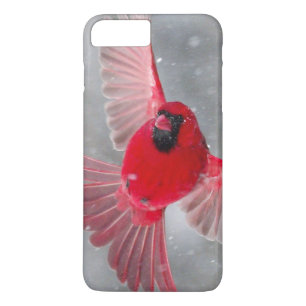 Funda Para iPhone 8 Plus/7 Plus EE.UU., Indiana, Indianápolis. Cardenal masculino