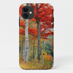 Funda Para iPhone 11 EE. UU., Maine, lago Wyman. Bosque de abedules
