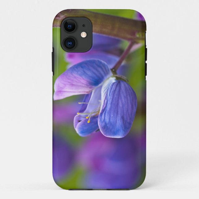 Funda De Case-Mate Para iPhone EE. UU., Maine, Parque Nacional Acadia. Primer pla (Reverso)