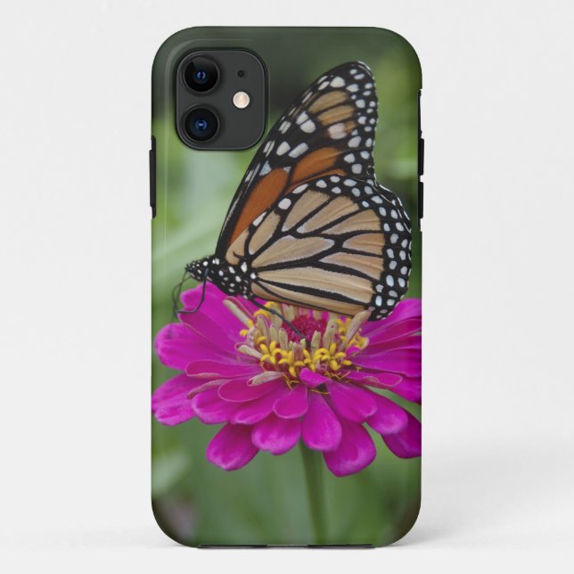 Funda De Case-Mate Para iPhone EE. UU., Massachusetts, Boylston, Tower Hill (Reverso)