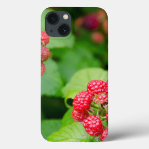 Funda Para iPhone 13 EE.UU., Massachusetts, Nantucket. Frambuesas madur