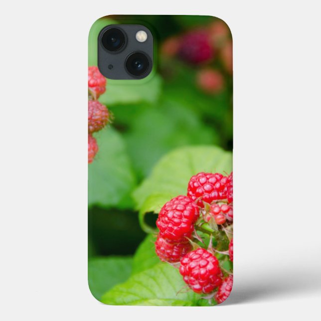Funda De Case-Mate Para iPhone EE.UU., Massachusetts, Nantucket. Frambuesas madur (Reverso)