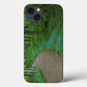 Funda Para iPhone 13 EE. UU., Michigan. Sendero Miner's Falls