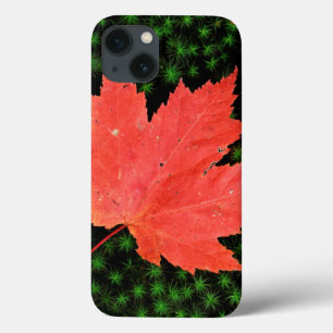 Funda Para iPhone 13 EE.UU., Missouri, Bosque Nacional Mark Twain