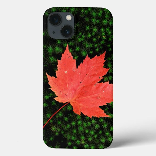 Funda De Case-Mate Para iPhone EE.UU., Missouri, Bosque Nacional Mark Twain (Reverso)