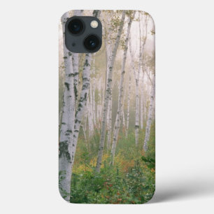 Funda Para iPhone 13 EE.UU., New Hampshire. Árboles de pájaros limpiand