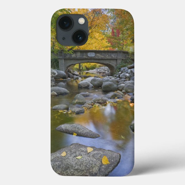 Funda De Case-Mate Para iPhone EE.UU., Oregón, Ashland, Lithia Park.Otoño (Reverso)
