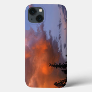 Funda Para iPhone 13 EE. UU., Oregón, Bosque Nacional Umpqua. Tormenta 