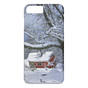 title_seo2 EE. UU., Oregón, condado de Clackamas. Nieve fresc