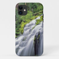 EE. UU., Oregón, Proxy Falls. Proxy Falls se preci