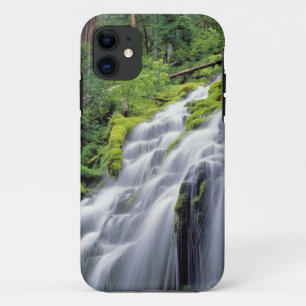 title_seo2 EE. UU., Oregón, Proxy Falls. Proxy Falls se preci