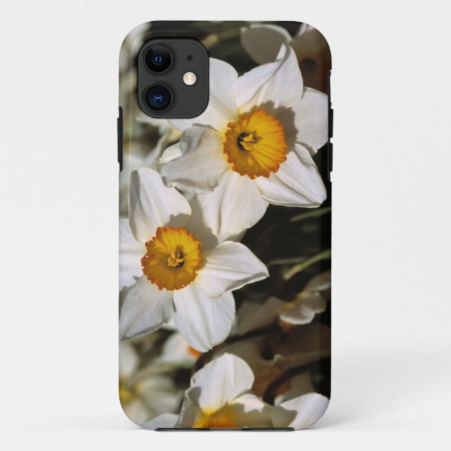 Funda De Case-Mate Para iPhone EE. UU., Oregón, Valle de Willamette. Narcisos (Reverso)